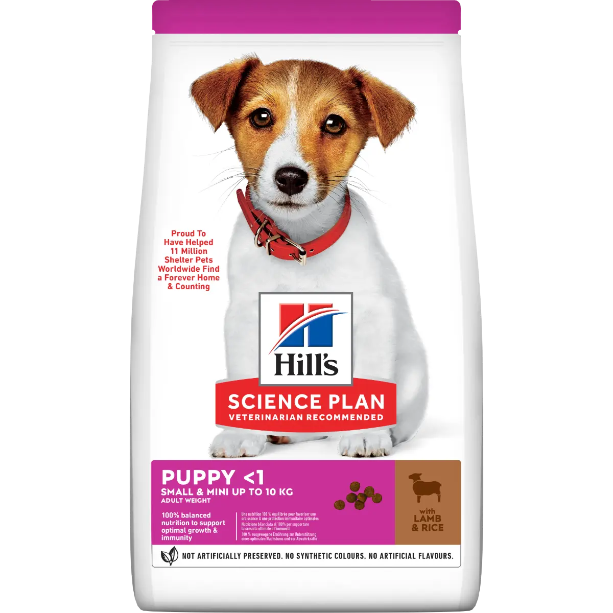 Hill'S Science Plan Adult Small & Mini